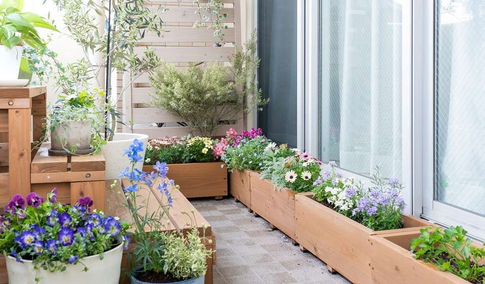 découvrez notre sélection de bacs jardinage en bois, idéaux pour cultiver vos plantes, fleurs et légumes. pratiques, esthétiques et durables, ces bacs s’intègrent parfaitement à tous les extérieurs !