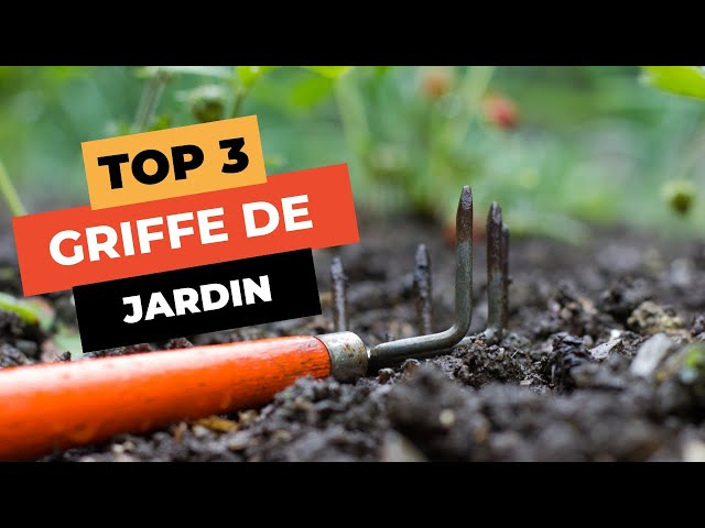 découvrez comment choisir la meilleure griffe de jardinage en 2025. conseils pratiques, comparatifs et astuces pour entretenir facilement votre jardin avec l’outil adapté à vos besoins.