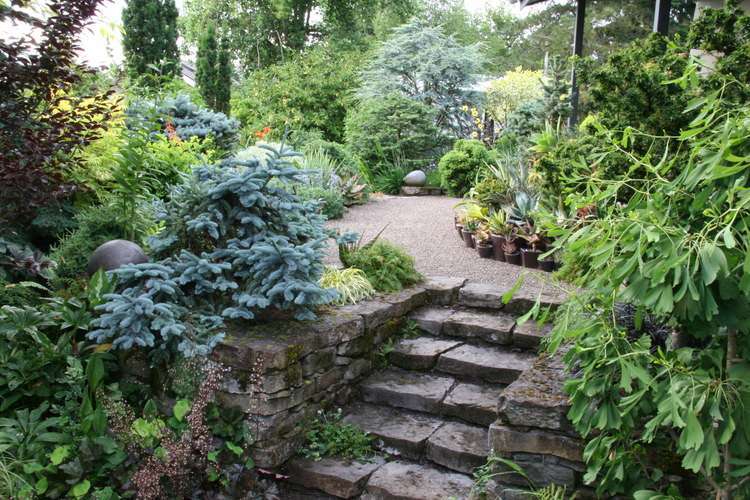 découvrez comment choisir le meilleur conifère pour votre jardin en 2025 : conseils pratiques, espèces adaptées, entretien et astuces pour sublimer vos espaces extérieurs toute l’année.