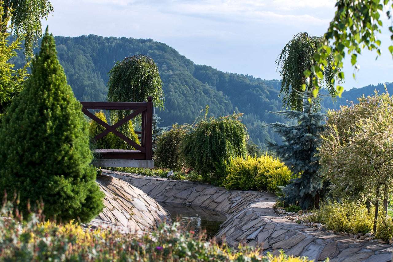 découvrez comment choisir le conifère idéal pour votre jardin en 2025 : conseils, variétés tendance et astuces pour un aménagement paysager réussi toute l'année.
