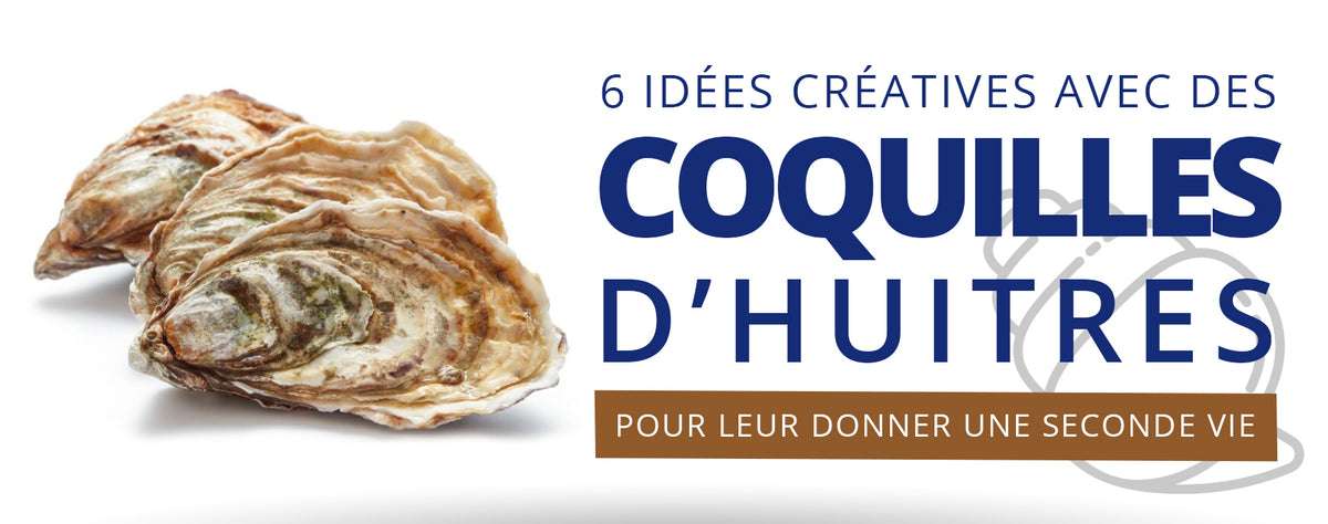 découvrez les bienfaits des coquilles d'huîtres : utilisation au jardin, amélioration du sol, fertilisant naturel et astuces pour recycler ce trésor écologique.