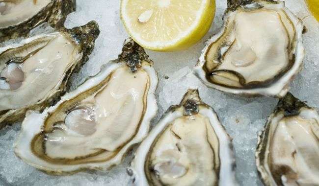 découvrez les bienfaits surprenants des coquilles d’huîtres : utilisation au jardin, amélioration du sol, source de calcium naturel et astuces écologiques pour recycler ce précieux résidu marin.