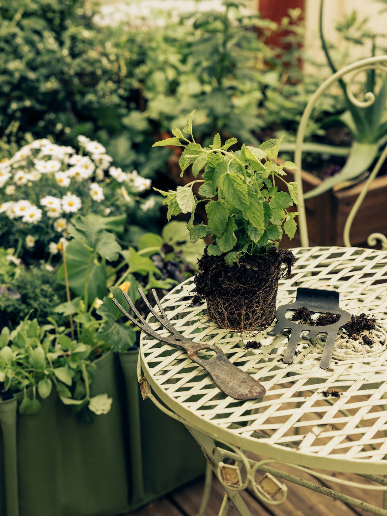 découvrez les tendances 2025 en décoration de jardin : idées originales, inspirations modernes et conseils pour sublimer vos extérieurs tout au long de l'année.