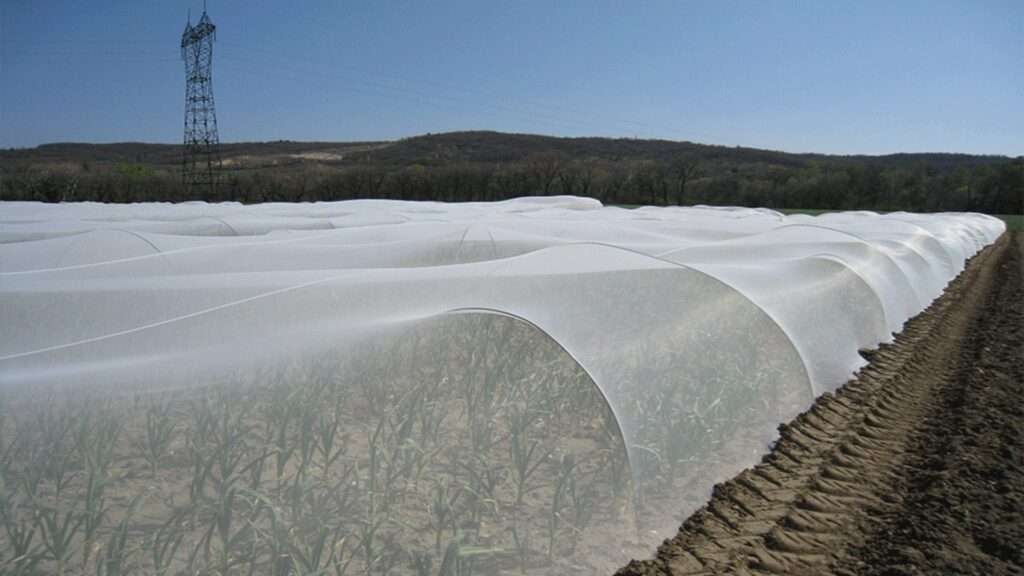 découvrez comment installer facilement un filet anti-insectes sur votre potager en 2025 pour protéger efficacement vos cultures des nuisibles tout en respectant l’environnement.