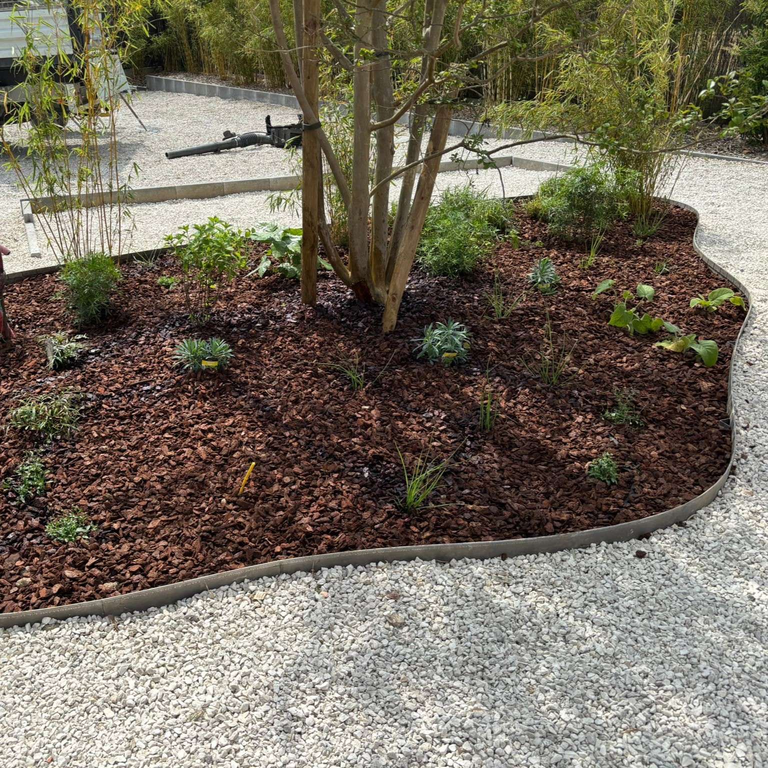 découvrez des idées de massifs de jardin sans entretien pour profiter d’un extérieur fleuri toute l’année sans effort. conseils, plantes adaptées et astuces faciles à suivre.