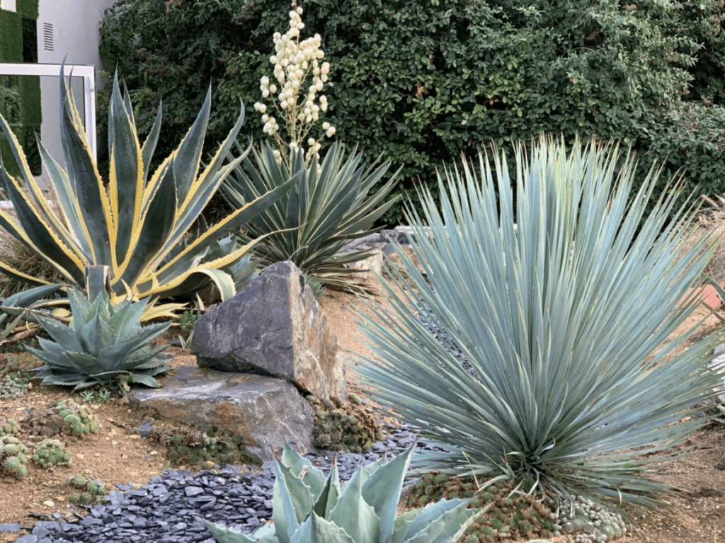 découvrez comment créer un massif de jardin sans entretien, idéal pour profiter d’un espace vert esthétique et facile à vivre toute l’année, sans y consacrer trop de temps.