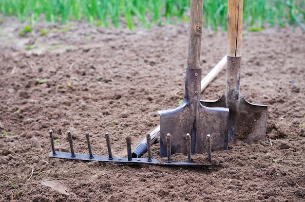 découvrez les outils de jardinage anciens : leur histoire, leurs usages traditionnels et des conseils pour les entretenir ou les collectionner. appréciez l’authenticité et l’efficacité des outils d’autrefois pour votre jardin.