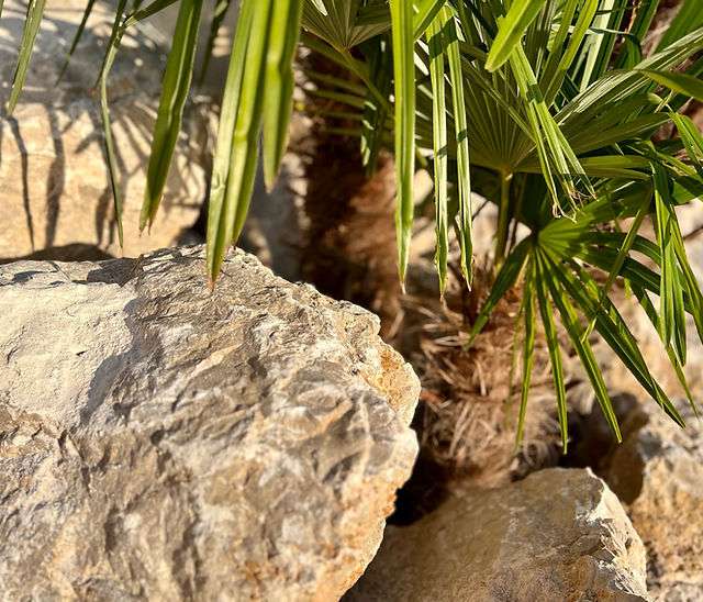 découvrez notre sélection de rochers décoratifs extérieurs pour sublimer votre jardin, terrasse ou espace vert. faciles à installer et résistants aux intempéries, ils apportent une touche naturelle et élégante à votre aménagement paysager.