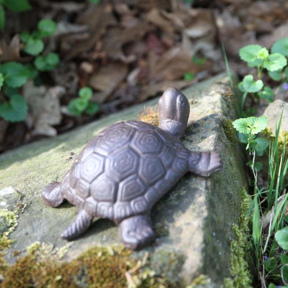 découvrez notre sélection de tortues de décoration pour le jardin 2025 : des objets originaux et résistants pour embellir vos extérieurs avec charme et fantaisie. idées tendances, conseils et nouveautés.