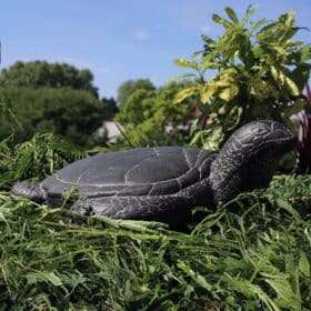 découvrez les plus belles tortues décoration jardin 2025 pour sublimer vos extérieurs : idées tendance, conseils d'aménagement et sélection de statues originales pour un jardin unique et accueillant.