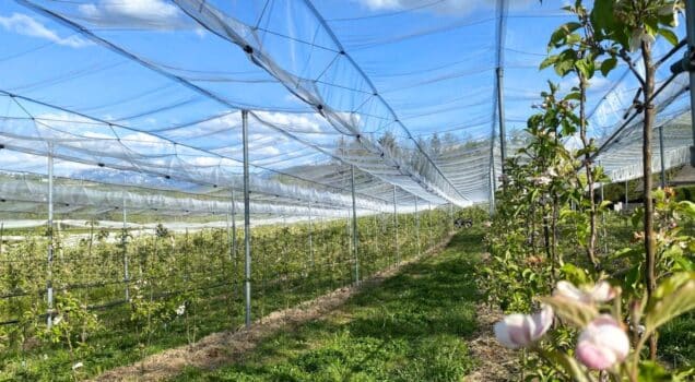 Protéger vos cultures en 2025 : comment choisir le meilleur filet de protection pour votre jardin ?