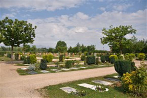 Découverte du cimetière paysager de Gleizé : un espace mémoriel au cœur de la nature