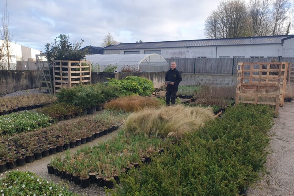 découvrez notre coaching jardin 2025 : conseils personnalisés et techniques innovantes pour un jardin resplendissant toute l'année.