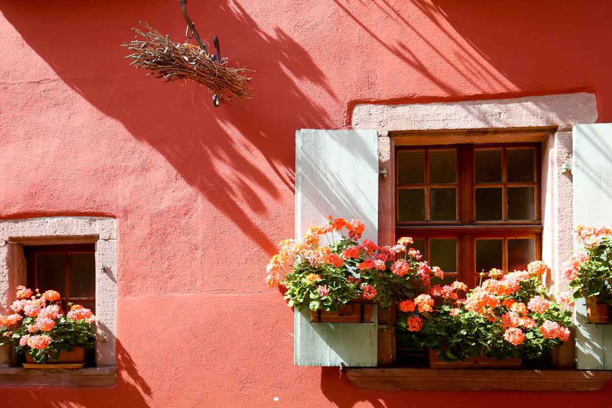 découvrez les meilleures idées pour décorer le rebord de votre fenêtre extérieur en 2025 et donnez du charme à votre maison avec des décorations tendance et faciles à réaliser.