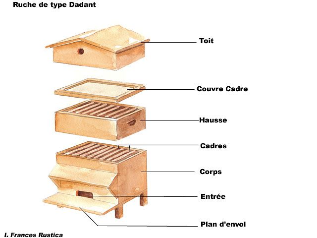 Comment fabriquer une ruche facilement en 2025 ?