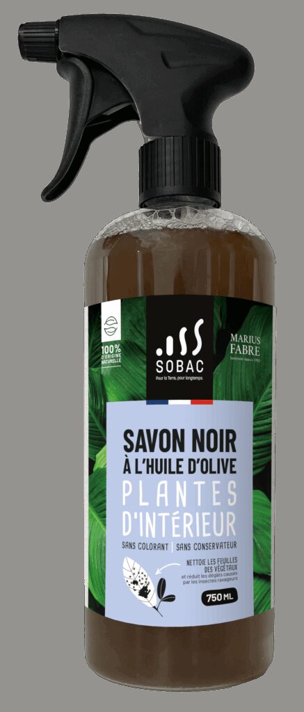 découvrez nos astuces de jardinage avec le savon noir pour entretenir vos plantes naturellement et efficacement.