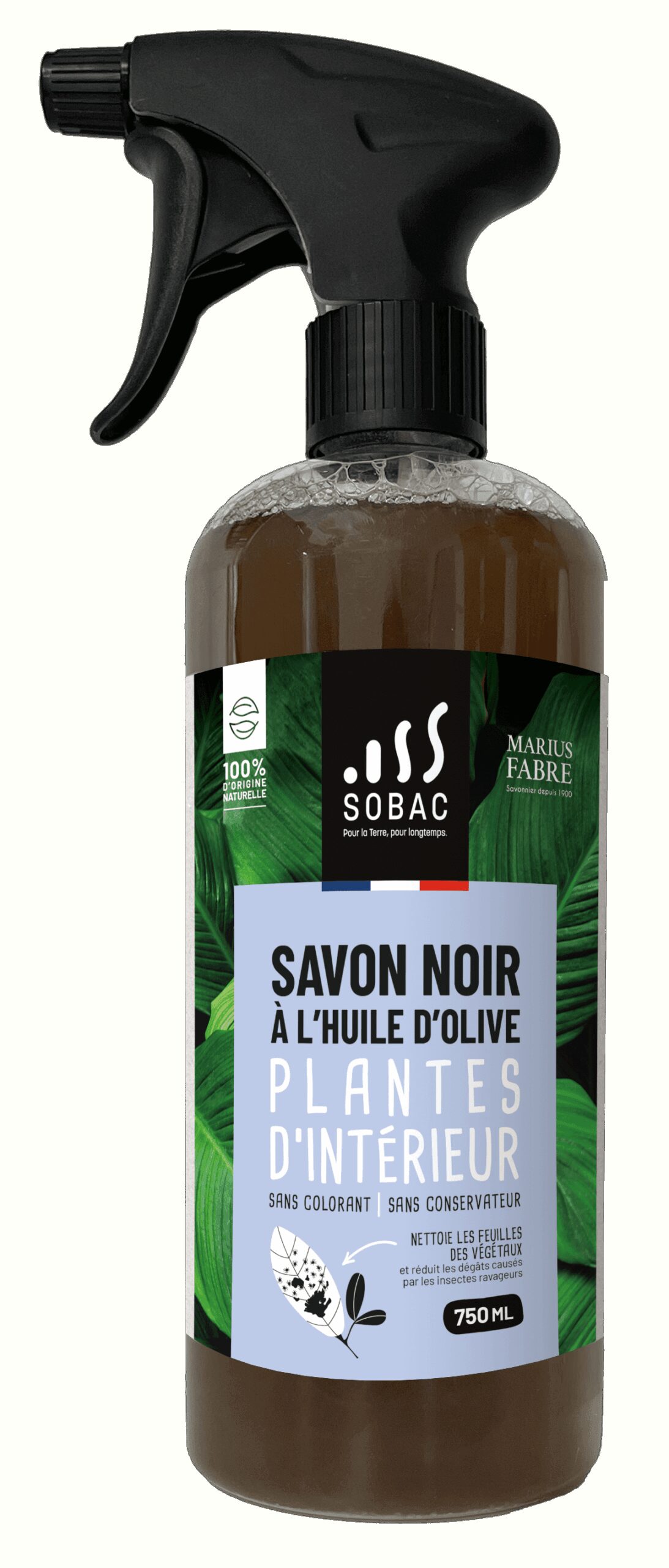 Jardinage et savon noir : astuces d’utilisation pour des plantes en pleine santé