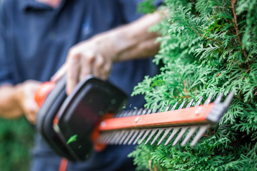 découvrez les meilleurs outils de jardinage stihl pour 2025, alliant performance et innovation pour entretenir votre jardin avec efficacité.