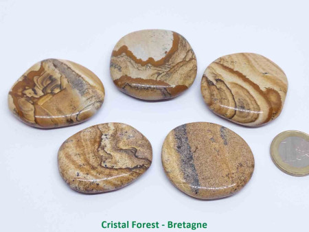 découvrez les vertus du jaspe paysage pour votre bien-être en 2025. apprenez comment cette pierre naturelle peut harmoniser votre corps et votre esprit.