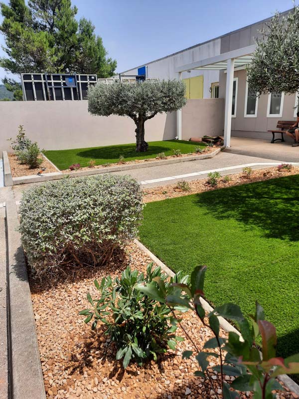 découvrez des idées d'aménagement pour sublimer votre jardin avec des oliviers, alliant esthétique et ambiance méditerranéenne.