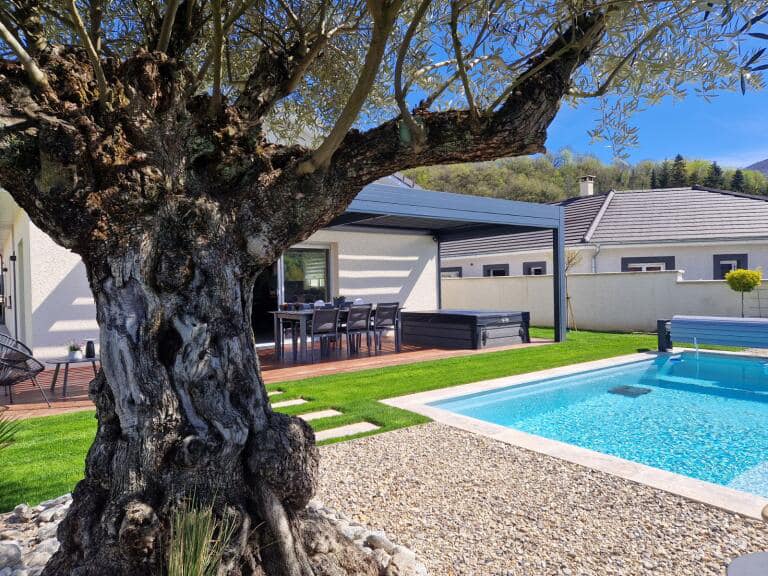 découvrez des idées d'aménagement pour sublimer votre jardin avec un olivier, alliant esthétique et convivialité pour un espace extérieur unique.