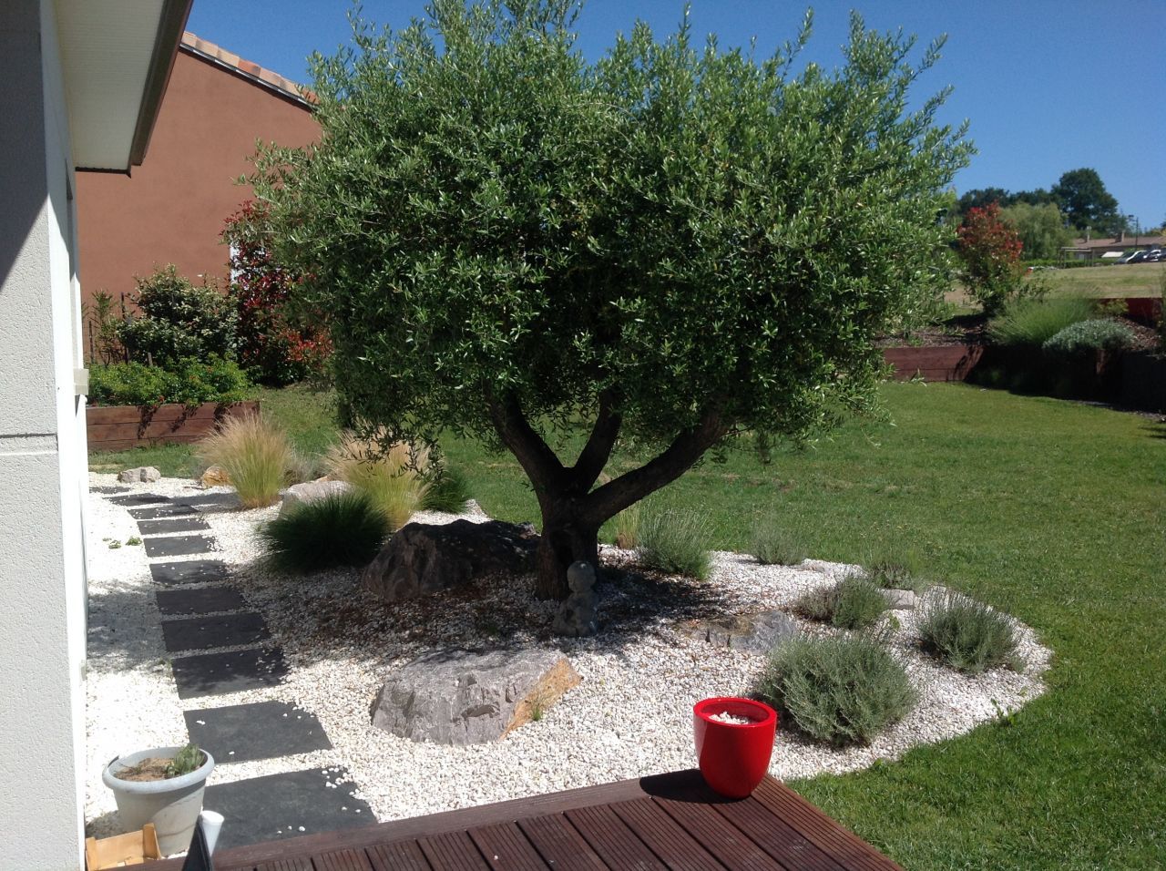 Aménagement paysager : comment sublimer votre jardin avec un olivier