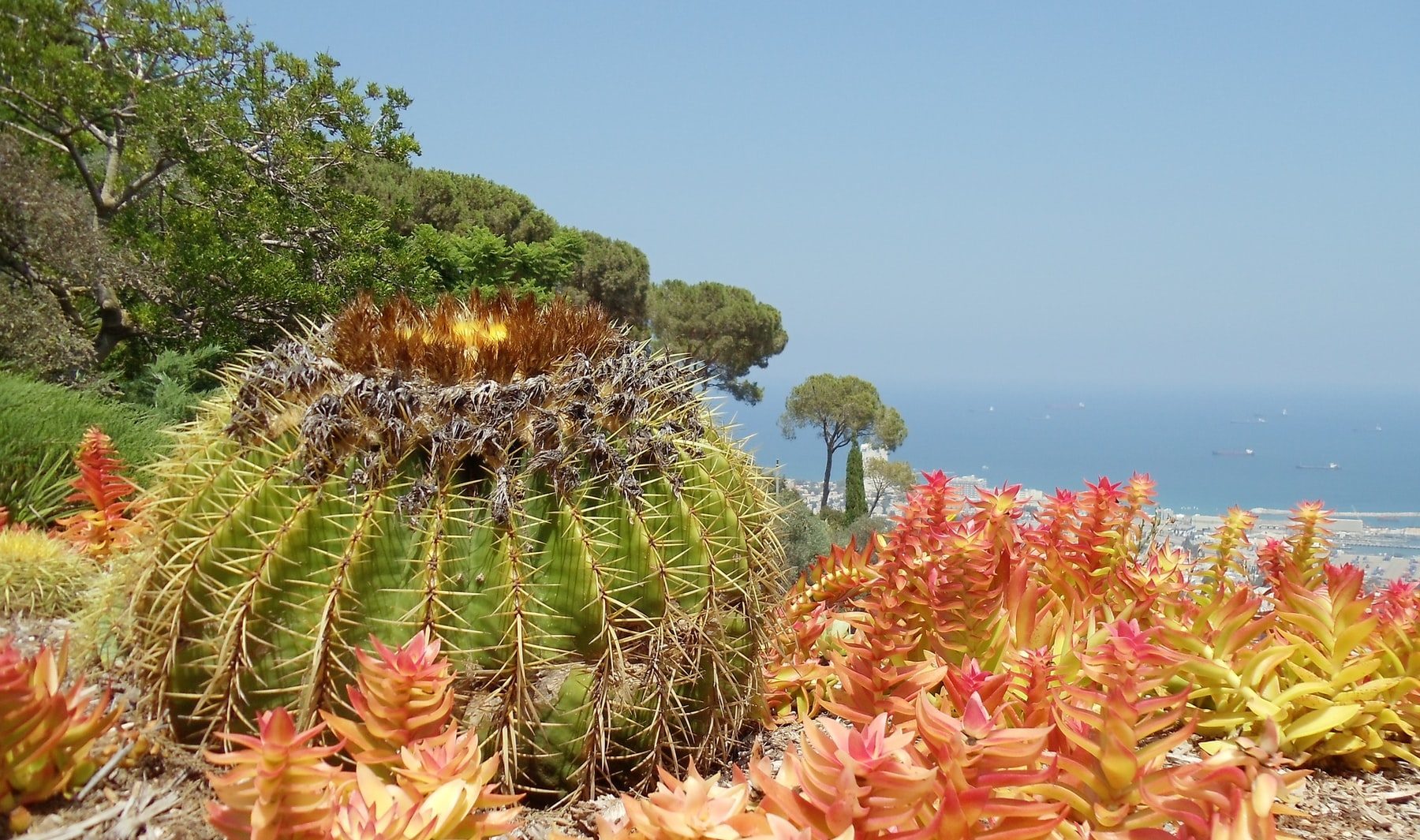 découvrez les tendances 2025 en aménagement paysager avec de la pierre naturelle pour un jardin élégant et durable.