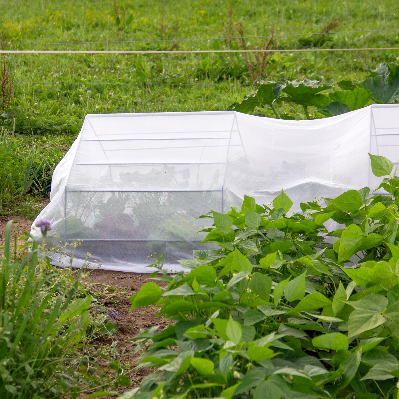 Filet de protection pour jardinage : comment choisir et installer l’équipement idéal en 2025