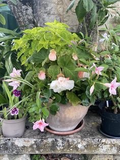 découvrez les meilleures astuces et conseils pour réussir votre jardinage en pots en 2025, avec des idées innovantes et des techniques adaptées à tous les espaces.