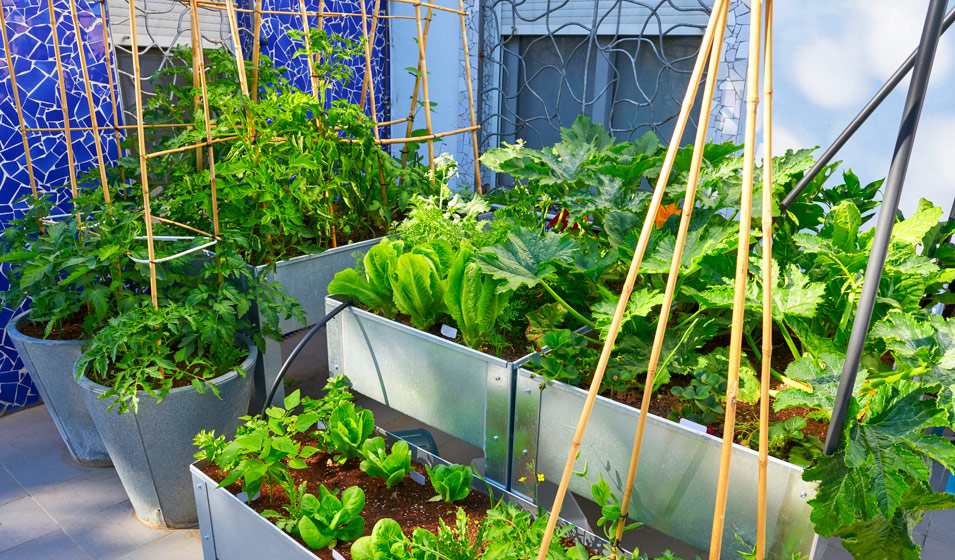 découvrez les dernières tendances du jardinage hors sol en 2025 pour cultiver vos plantes facilement et efficacement, même dans les petits espaces.