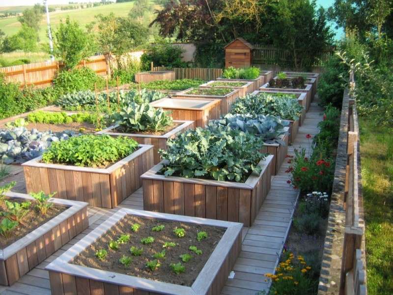 découvrez comment aménager un carré potager surélevé pour cultiver facilement vos légumes et herbes aromatiques tout en optimisant l'espace et le confort.