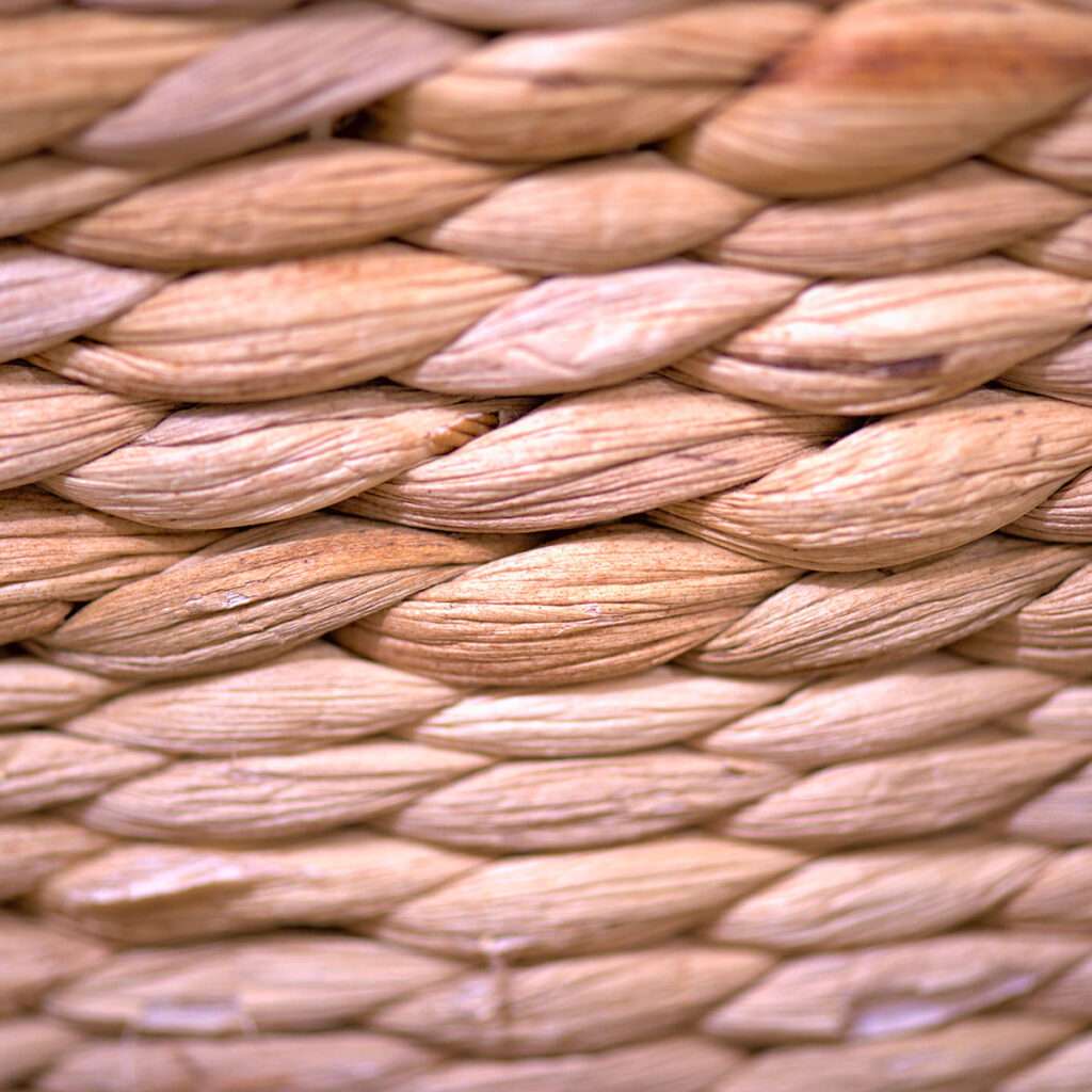 découvrez les avantages du jonc de mer intérieur : un matériau naturel, durable et esthétique pour sublimer votre décoration tout en apportant chaleur et authenticité à votre espace.