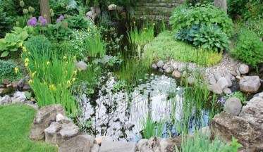 découvrez notre guide d'achat et d'installation pour les bassins de jardin préformés, avec conseils pratiques pour choisir et poser facilement votre bassin.