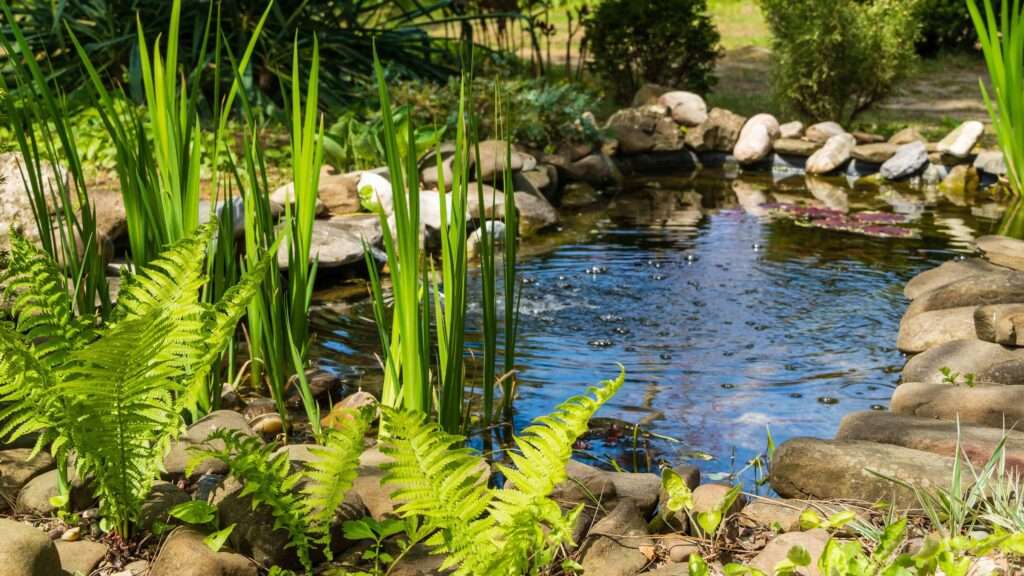 découvrez notre guide complet d'achat et d'installation pour choisir et aménager votre bassin de jardin préformé facilement et efficacement.