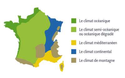 découvrez notre calendrier de semis pour un potager réussi toute l'année. astuces et conseils pour planter au bon moment et récolter des légumes savoureux.