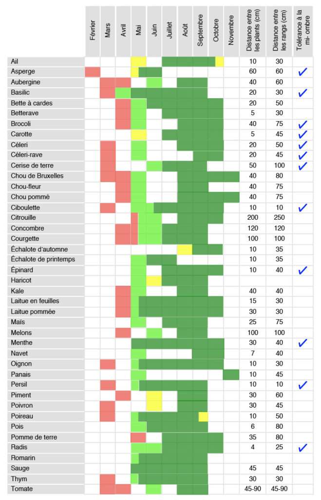 découvrez notre calendrier des semis pour réussir votre potager toute l'année avec des conseils pratiques et adaptés à chaque saison.