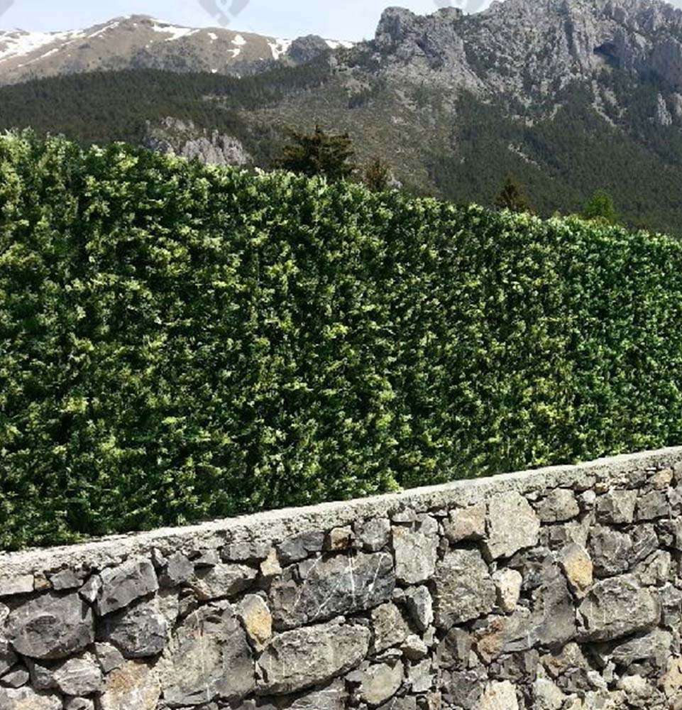 découvrez comment choisir entre un brise-vue naturel ou synthétique pour optimiser votre intimité en extérieur tout en harmonisant votre espace jardin.