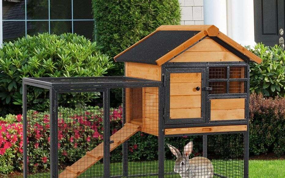 découvrez comment choisir le clapier idéal pour votre lapin d'extérieur : conseils pratiques, matériaux adaptés et astuces pour assurer confort et sécurité à votre compagnon.