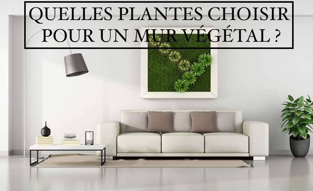 découvrez comment choisir et entretenir un mur végétal intérieur pour embellir votre espace avec une touche naturelle et durable.