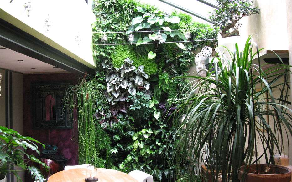 découvrez comment choisir le mur végétal intérieur idéal et apprendre à l'entretenir facilement pour embellir votre espace de vie avec une touche de nature.