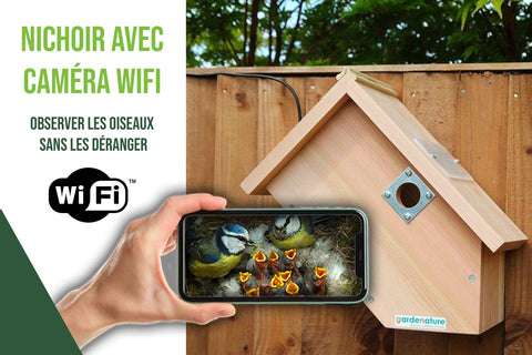 apprenez à choisir et installer un nichoir pour mésanges afin de favoriser leur nidification et protéger ces petits oiseaux dans votre jardin.