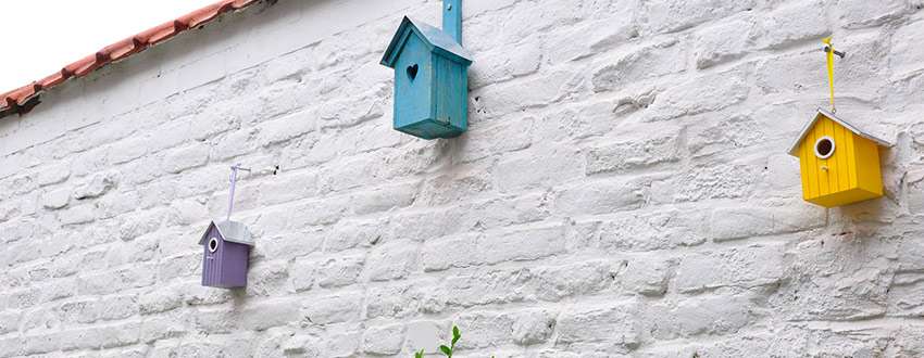 découvrez comment choisir et installer un nichoir pour mésanges afin de leur offrir un habitat sûr et favoriser leur nidification dans votre jardin.
