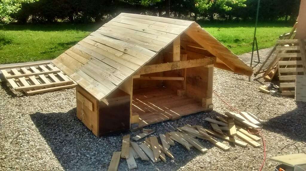 découvrez comment construire un poulailler solide et durable pour protéger vos poules en toute sécurité.