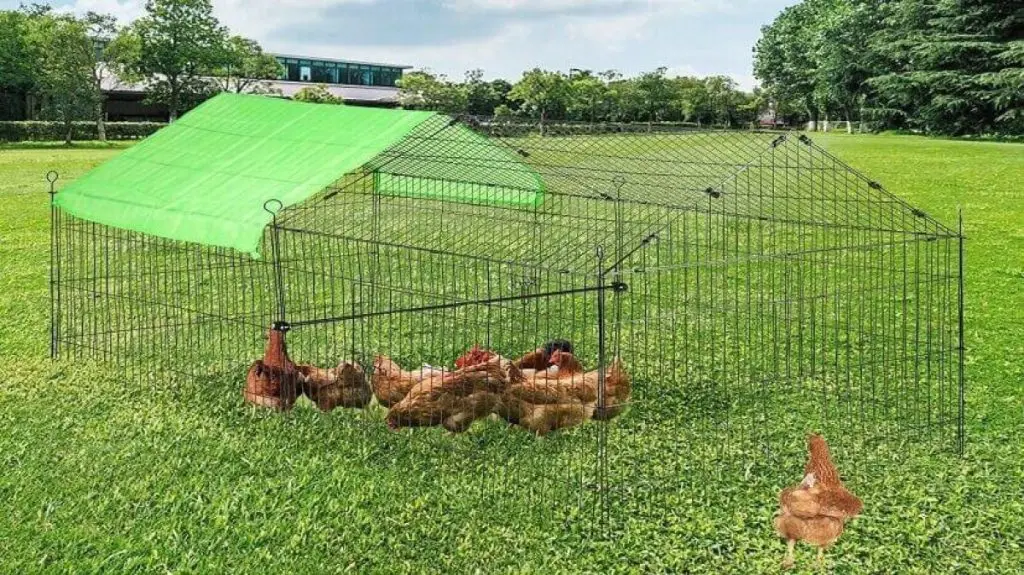 apprenez à construire un poulailler solide et durable pour protéger vos poules des intempéries et des prédateurs, avec des conseils pratiques et des matériaux adaptés.