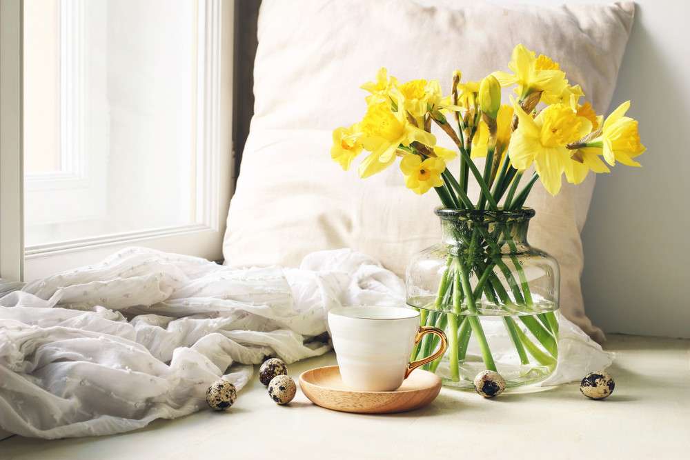 apprenez à cultiver et différencier facilement les narcisses et les jonquilles grâce à nos conseils pratiques et astuces de jardinage.
