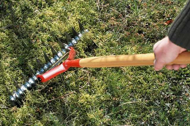 découvrez des méthodes naturelles efficaces pour enlever la mousse de votre pelouse et retrouver un gazon sain et verdoyant sans produits chimiques.