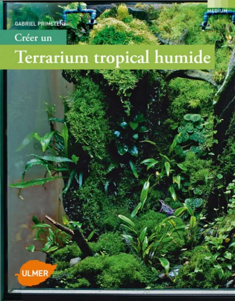 découvrez nos conseils pour l'entretien de votre terrarium de plantes humides et maintenez un environnement sain et équilibré pour vos végétaux.