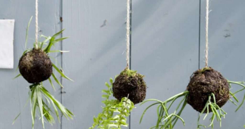 apprenez à fabriquer un kokedama maison facilement grâce à notre guide étape par étape, pour une décoration naturelle et originale chez vous.