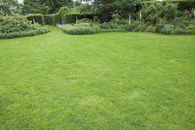 découvrez pourquoi l'aération du gazon est essentielle pour la santé de votre jardin et comment elle favorise une croissance robuste et un sol bien oxygéné.