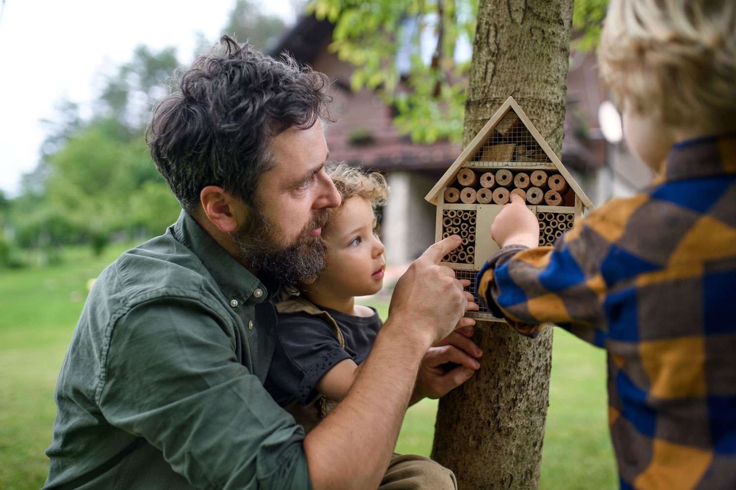 apprenez à installer un hôtel à insectes pour favoriser la biodiversité dans votre jardin et soutenir la faune locale bénéfiques.